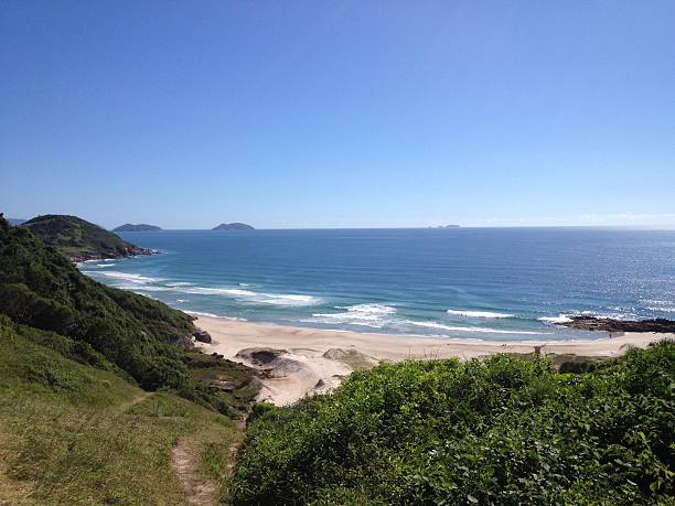 istock Beautiful Beach in South Brazil 504540387