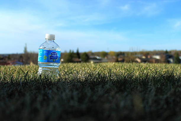 nestle bouteille d'eau de vie pure - brand named water photos et images de collection