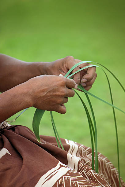 istock Palm Frond Basket Weaver 504543941