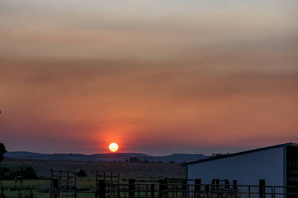 istock smoky sun on the horizon 504546731
