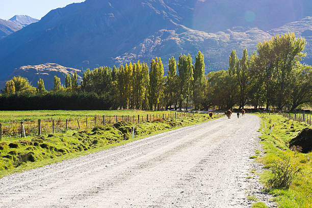 istock Picturesque landscape 504562083