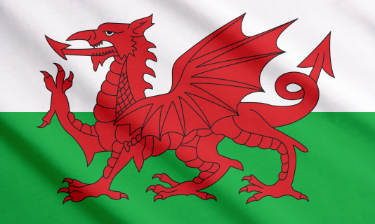 Welsh flag waving.