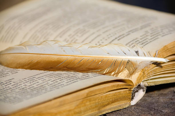 istock old book with a quill pen on tree 504563797