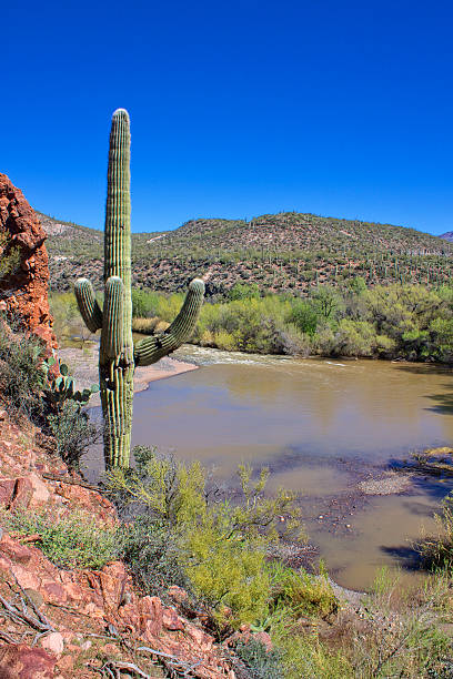 Verde River Landscape stock photo