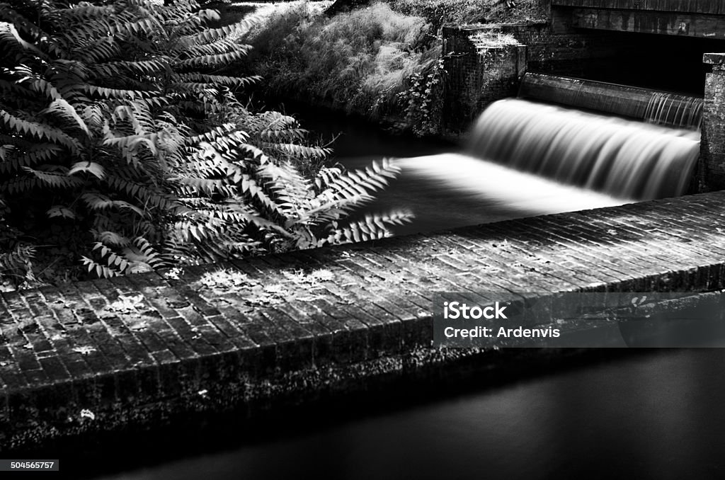 Lunga esposizione a raggi infrarossi e diga di pietra cascata nella foresta - Foto stock royalty-free di Acqua