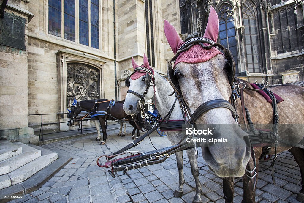 Spanish Riding School, Vienna Horses waiting to whisk tourists around the beautiful city of Vienna. Spanish Riding School built in 1735 as an extension to the Hofburg Palace complex (13th Century). Spanish Riding School Stock Photo