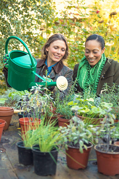 istock Women gardening 504565889