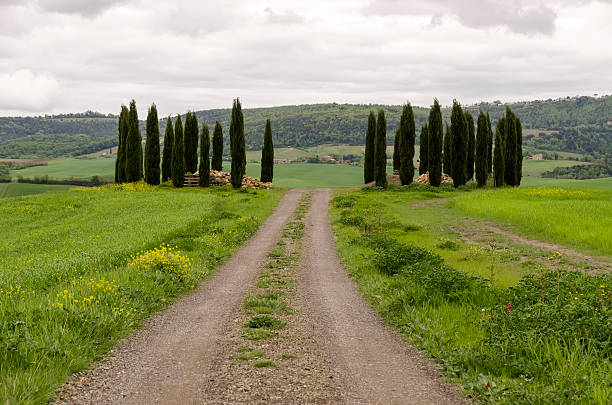 istock Landscape of Tuscany 504566033