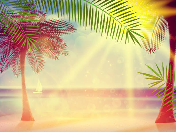 istock Vintage poster of tropical beach. 504567285