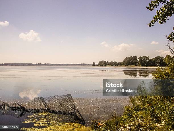 Lake Erie Stockfoto und mehr Bilder von Eriesee - Eriesee, Ohio, Baum