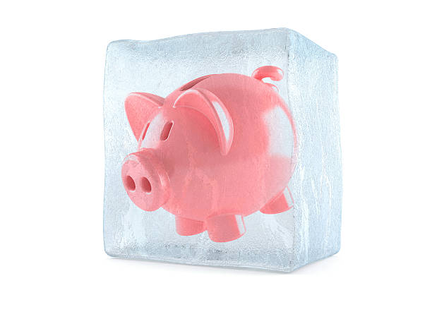 piggybank - frozen currency finance ice ストックフォトと画像