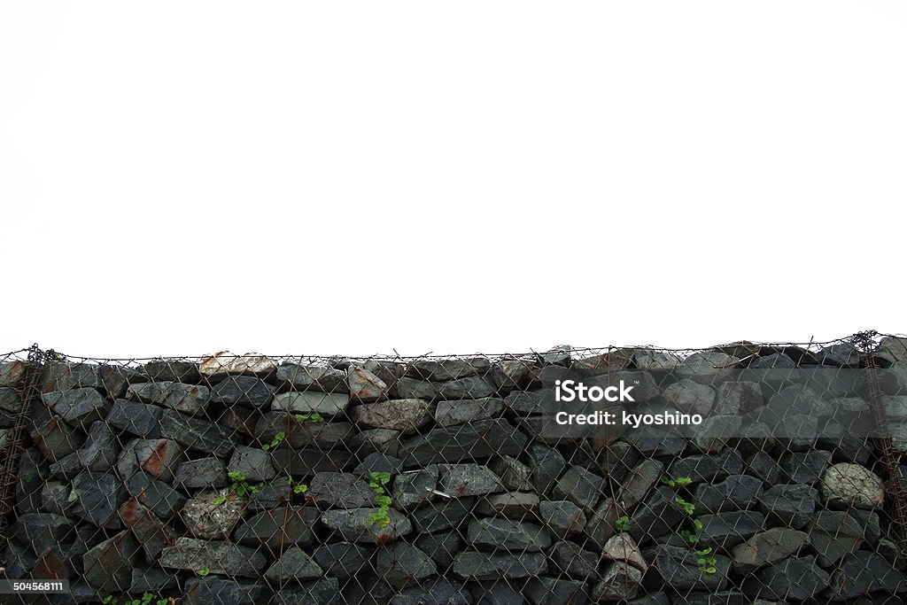 Rośliny wzrost z Mur kamienny - Zbiór zdjęć royalty-free (Bez ludzi)