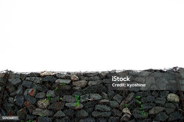 Rośliny Wzrost Z Mur Kamienny - zdjęcia stockowe i więcej obrazów Bez ludzi - Bez ludzi, Brudny, Drut
