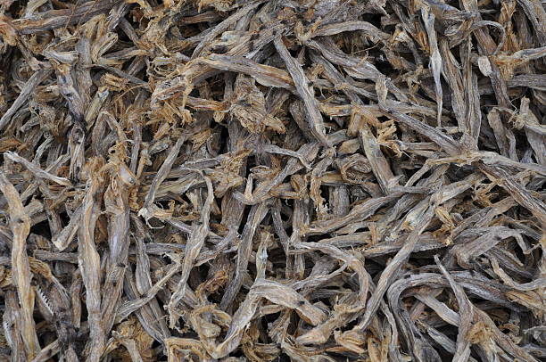 istock Vegetable on Bhutanese Market 504572678