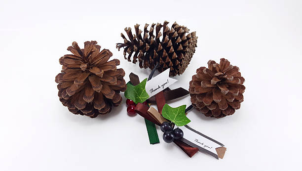 istock Three pine cones with christmas thank you tag 504574934