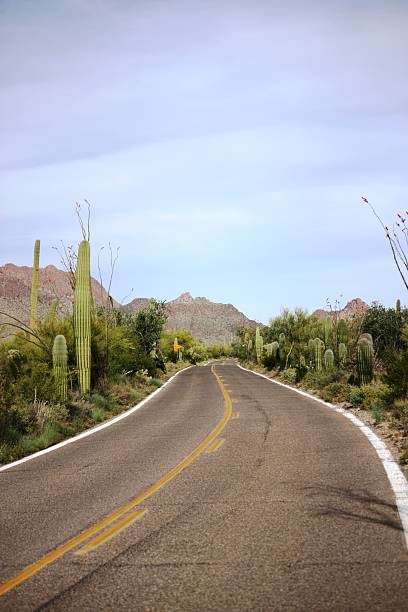 istock McCAIN LOOP RD in Saguaro National Park, Arizona USA 504576644
