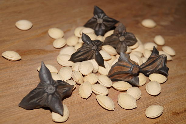 Water caltrop and mirabelle seed