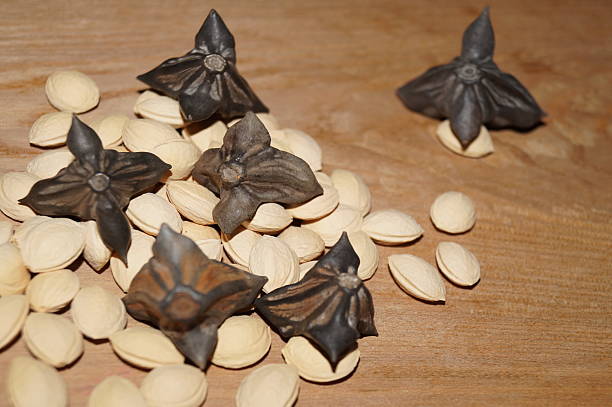istock Water caltrop and mirabelle seed 504579670