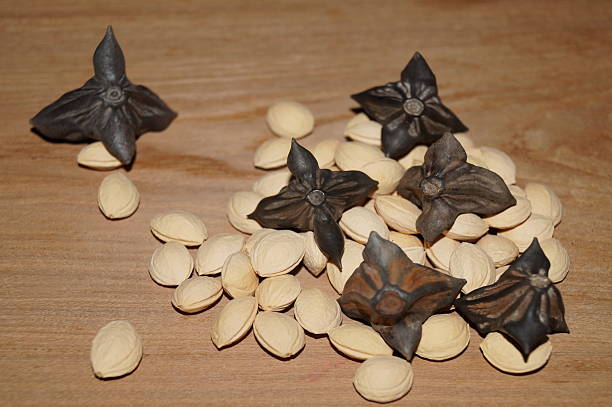 istock Water caltrop and mirabelle seed 504579792