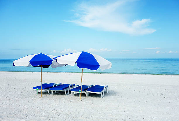 istock Sun umbrellas and lounge chairs on beach 504580439