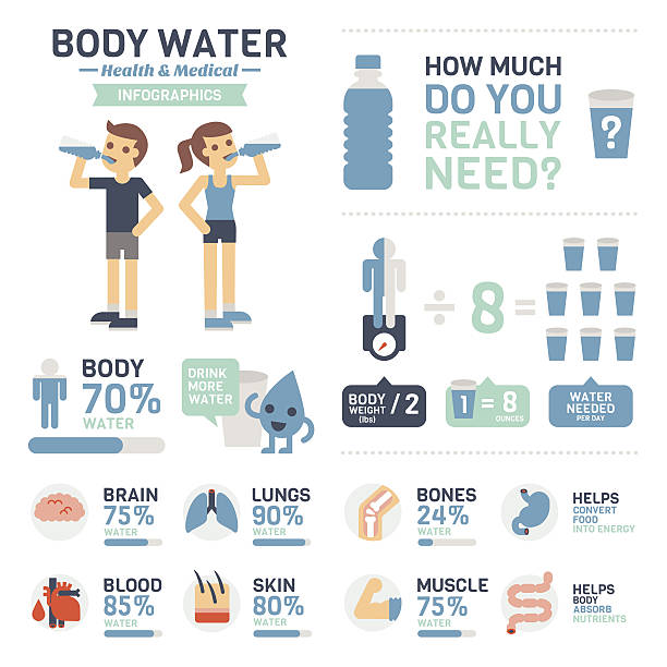 stockillustraties, clipart, cartoons en iconen met body water infographics - drinking water