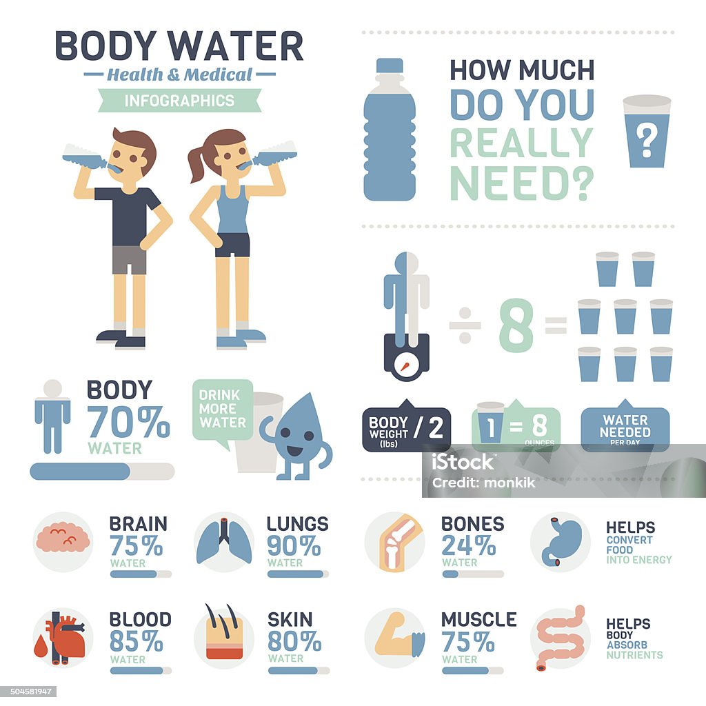Body Water Infographics Set of element and icon for flat style Body Water Infographics. Water stock vector