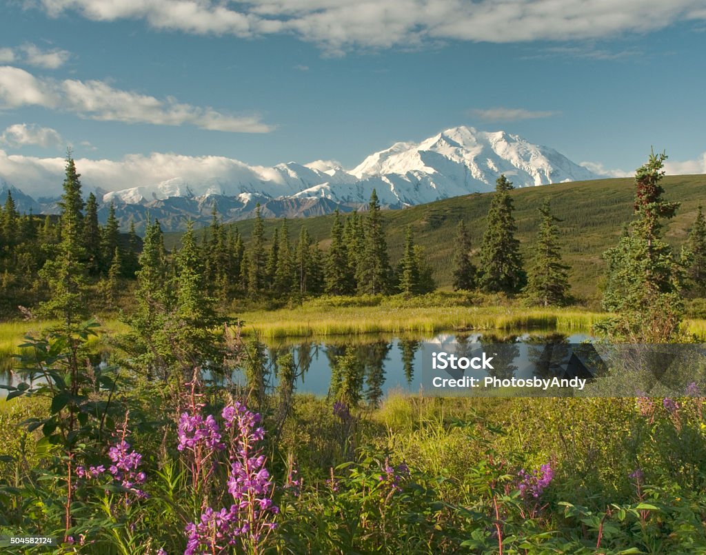 Sunrise at Denali Sunrise over the Denali mountain range in Alaska Denali National Park and Preserve Stock Photo