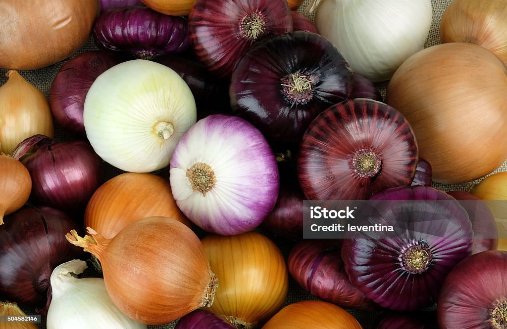 Cipolle di diverse varietà - Foto stock royalty-free di Cipolla