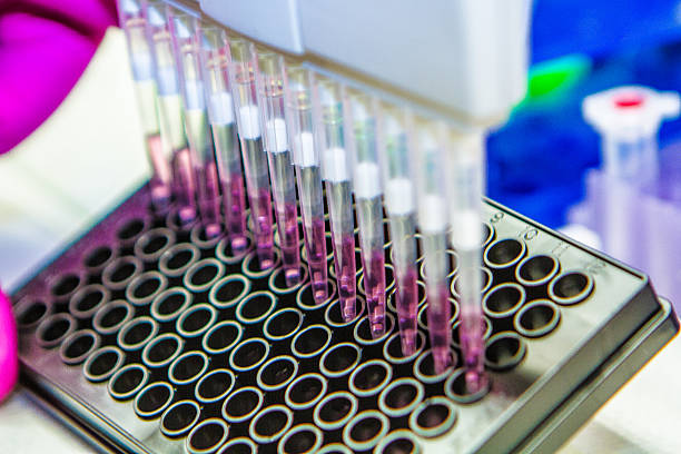 istock Researcher Using Pipette with Cell Culture Plate 504582512