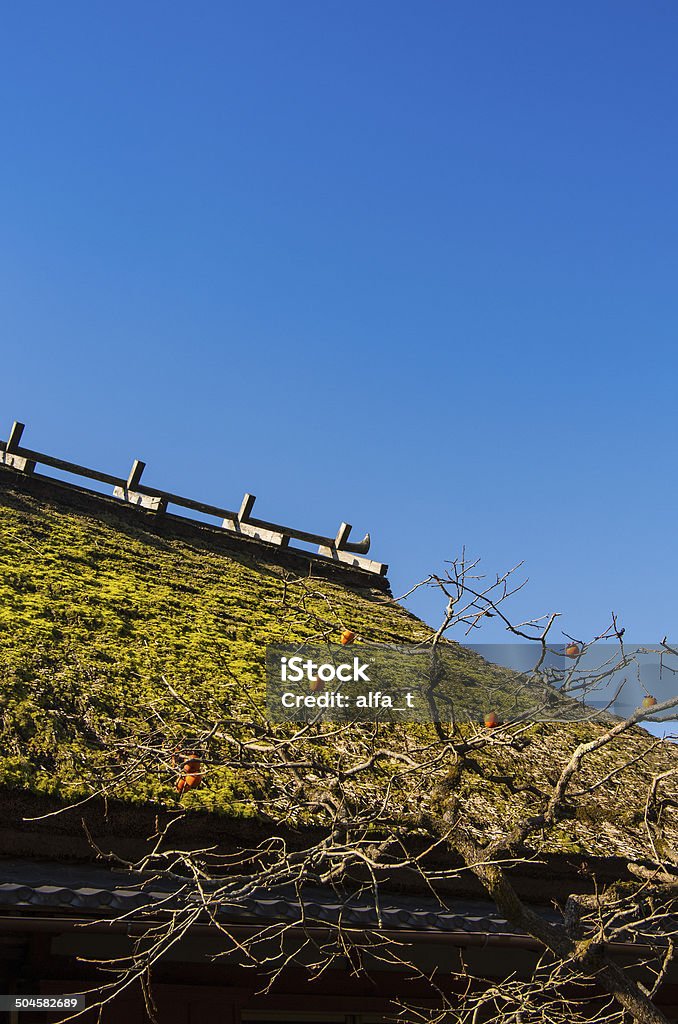 Japanese old house A thatched house in kyoto,japan. Architecture Stock Photo