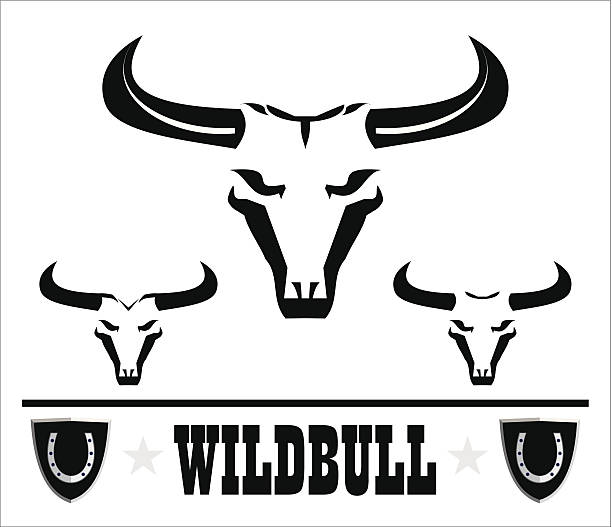 dziki bulls - texas longhorn cattle horned bull long stock illustrations