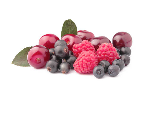 istock raspberries, cherries, blueberries and black currant 504582997