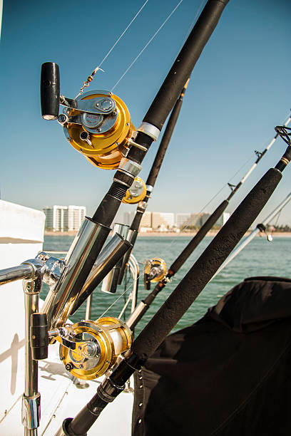 istock Fishing Rods, Mexico. 504583446