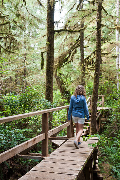 istock Hiking in Pacific Rim National Park 504583656