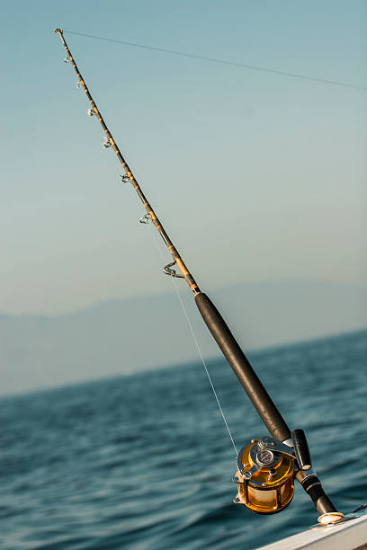istock Fishing on a Ocean Boat, Mexico 504583688