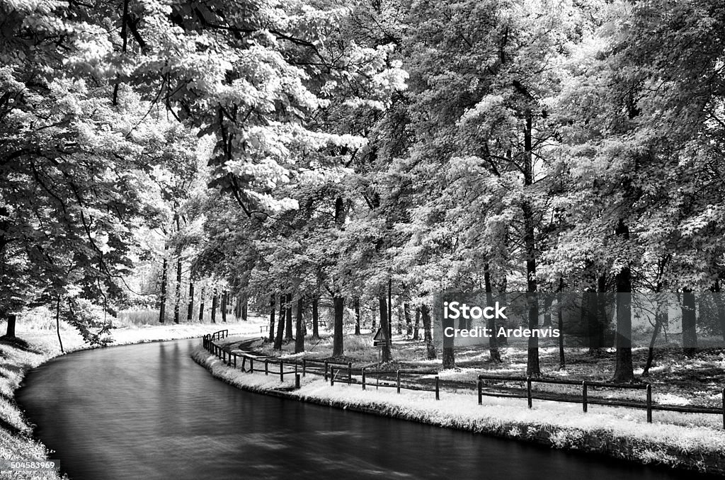 Infrarosso Esposizione lunga strada e sul fiume nella foresta - Foto stock royalty-free di Acqua