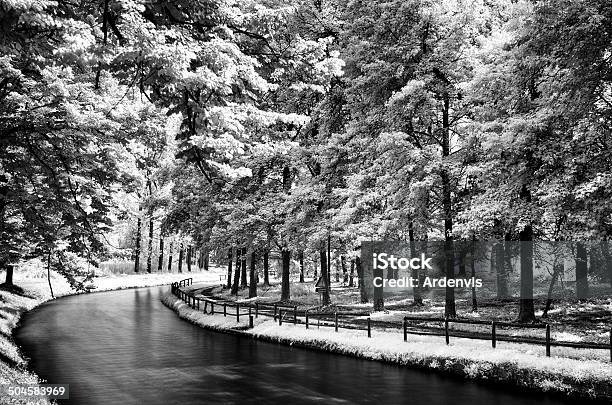 Infrarosso Esposizione Lunga Strada E Sul Fiume Nella Foresta - Fotografie stock e altre immagini di Acqua