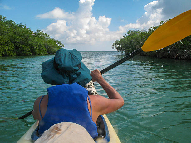 istock Sea Kayak Adventure 504584079