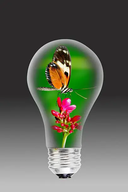 Photo of Nature power bulb.