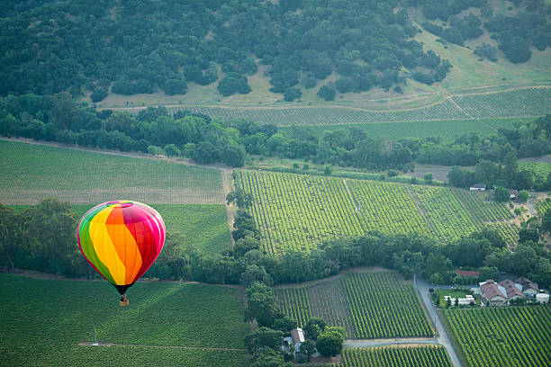 napa valley aloft - northern california vineyard california napa valley zdjęcia i obrazy z banku zdjęć