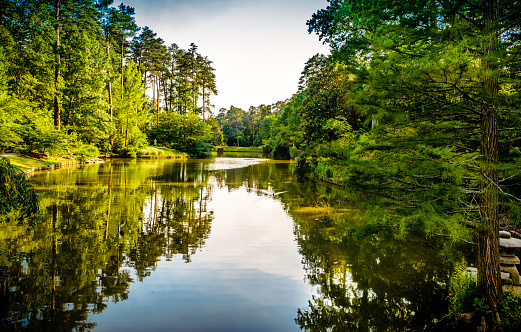 Still waters of a lake in Durham, North Carolina near Duke University. This image was captured on a clear sunny afternoon during summer. The windless day creates the emotion of peace and tranquility in this landscape.