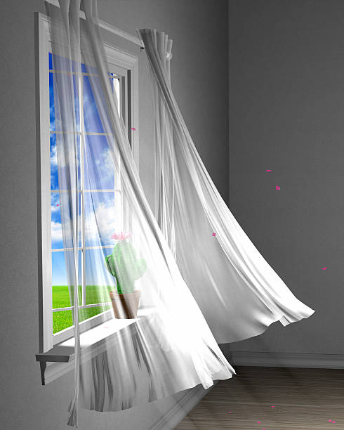 istock Warm spring breeze blowing cherry petals through an open window 504587580