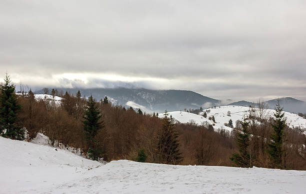 istock snowy hill mountain with mixed forest. winter mountain 504588252