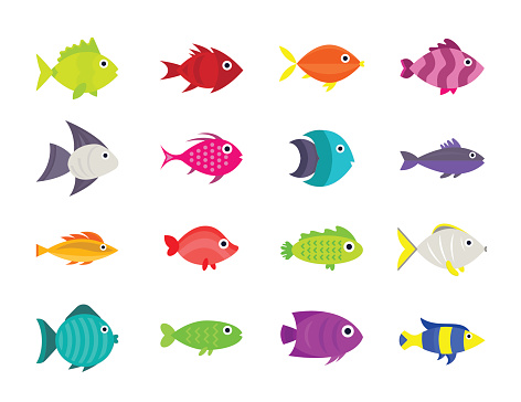 Cute fish vector illustration icons set. Fish flat style vector illustration. Fish icons isolated. Tropical fish, sea fish, aquarium  fish set isolated on white background