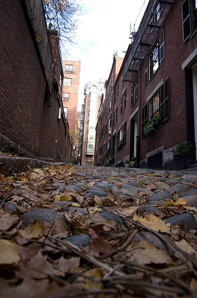 istock Cobblestone street in Beacon Hill 504600365
