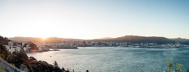 istock Wellington City 504600557