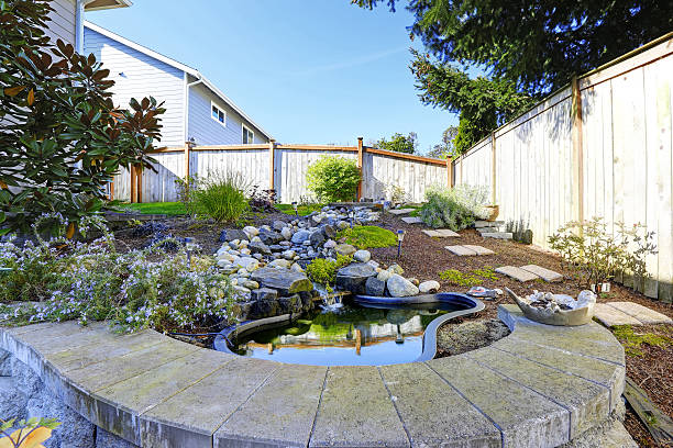 istock Home garden with small pond 504602443