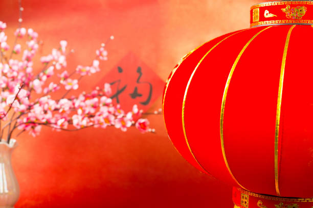 Chinese new year red lantern decoration with character  \