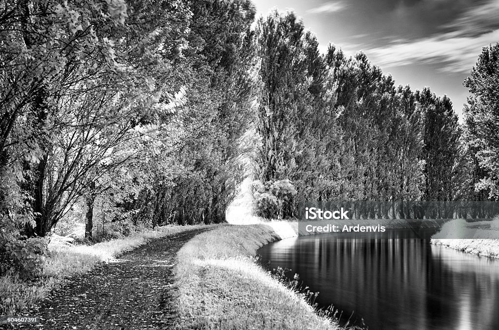 Infrarosso Esposizione lunga strada e sul fiume - Foto stock royalty-free di Acqua