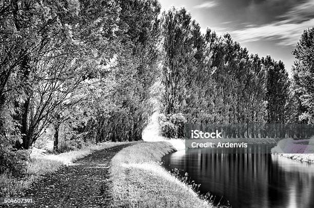 Infrarosso Esposizione Lunga Strada E Sul Fiume - Fotografie stock e altre immagini di Acqua - Acqua, Albero, Ambientazione esterna